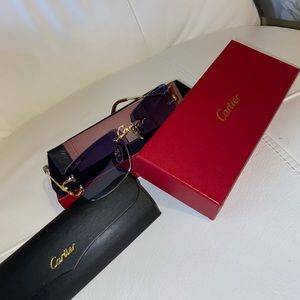 Blue Tint Cartier C Frames